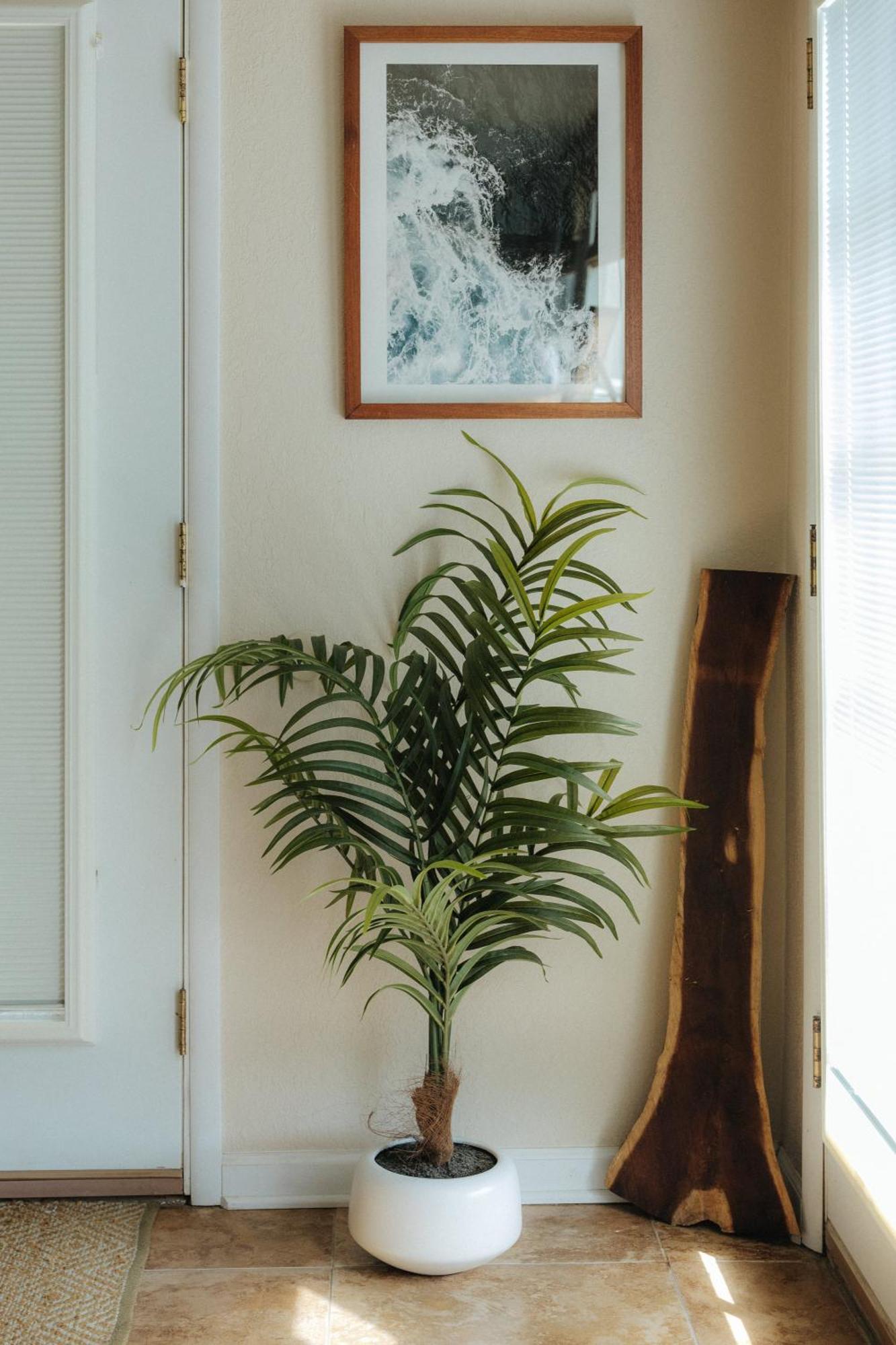 The Ohia At The Koi House Appartement Kailua-Kona Buitenkant foto